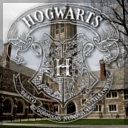 hogwartsuniversity-rp-blog