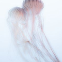 holographic-jellyfish-blog1