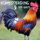 homesteading-off-grid