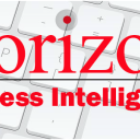 horizonbusinessintelligence