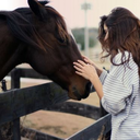 horses-are-beautiful
