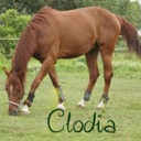 howrse-clodia-blog