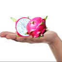 i-give-dragon-fruit-to-people