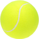 i-want-tennis-ball