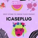 icaseplugs-blog