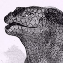 iguanodont