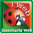 insectos-blog