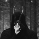insectsinherkiss avatar