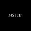 insteinbrain