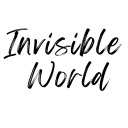 invisible-world-blog