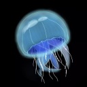 j3llyfishspin3