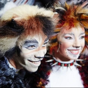 jellicle-love-for-jellicle-ships