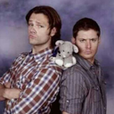 jerk-and-bitch-winchesters