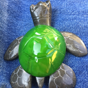 john-laurens-the-turtle
