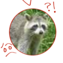 just-a-random-raccoon