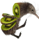kiwi-aert