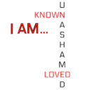 known-loved-unasahmed-blog