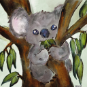 koalatydm