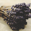 lavender-eudaimonia