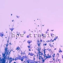 lavender-tragedy-blog