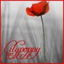 lilypoppy28