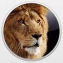 lioncaps-blog