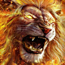 lionfirek