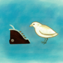 little-bookbird
