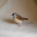 littlefeltsparrow