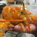 lobsterlord-blog-blog
