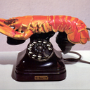 lobsterphones avatar