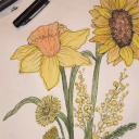 lovely-daffodil-blog