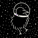 lunar-kiwi-bird
