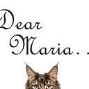 lunas-blog-dear-maria