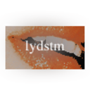 lydstm
