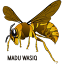 maduwasiq-blog