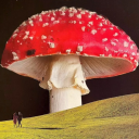 magicshrooms-world