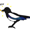 magpie-of-the-lake