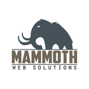 mammothwebsolutions-blog