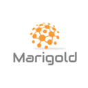marigoldtech-blog