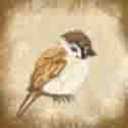 medievalsparrow