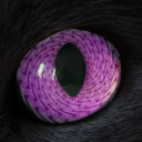 mesmers-cat