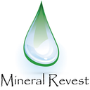 mineralrevest-blog
