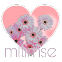 mltimse-a