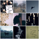 moodboards-i-guess avatar