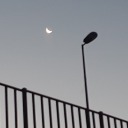 moon-fence