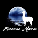 moonacrealpacasnz-blog