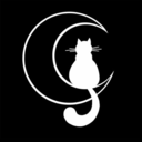 moonlight-cat-dreams-blog
