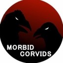morbidcorvids