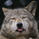 mosswolfie